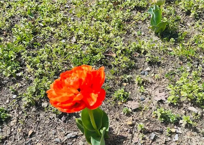 La Coccinelle Semesterbostad *